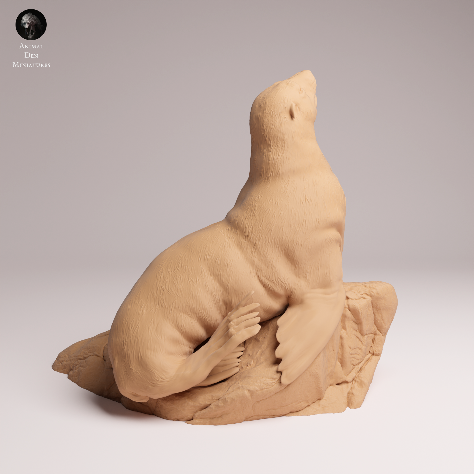 Cape Fur Seal Female on Rock 1:24