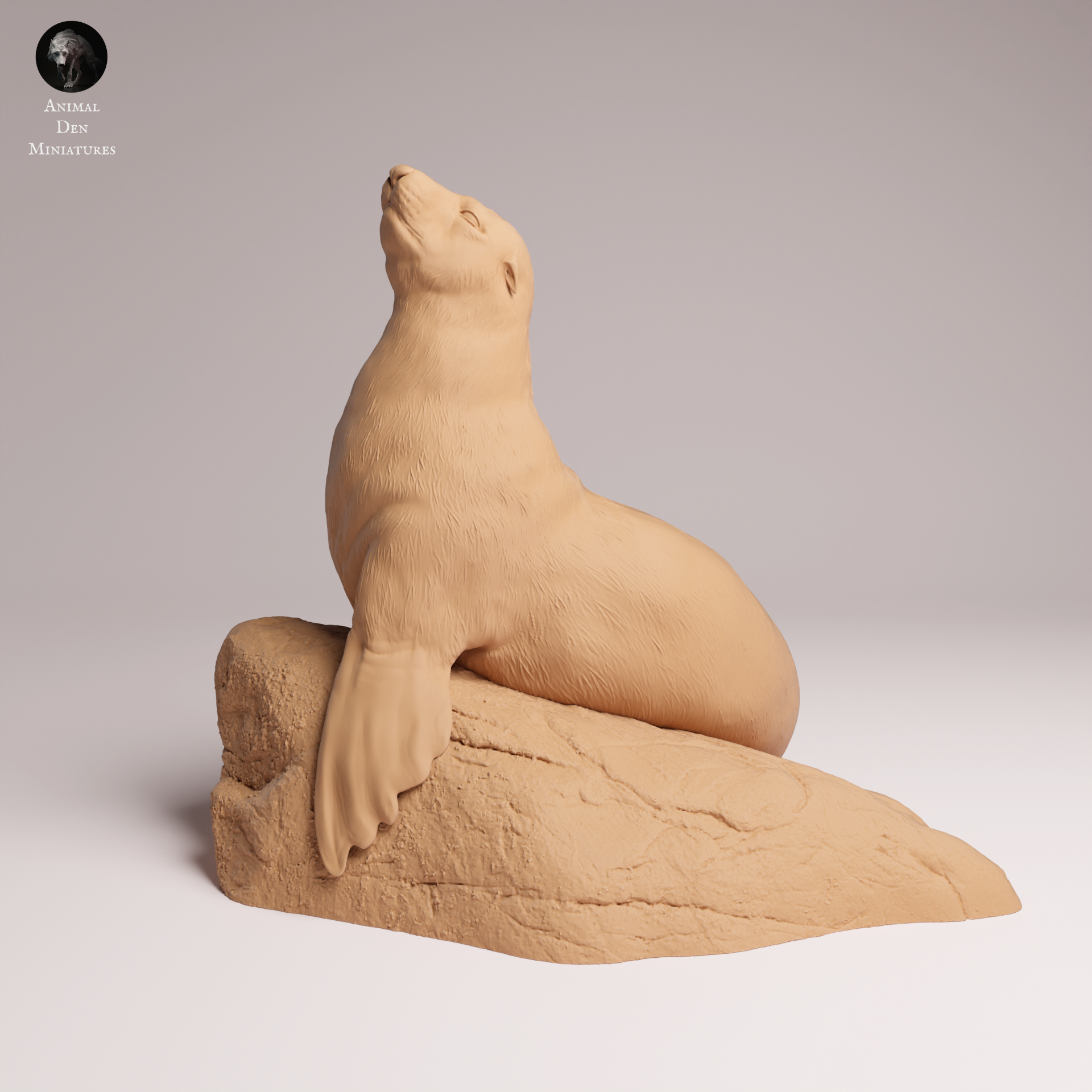 Cape Fur Seal Female on Rock 1:24
