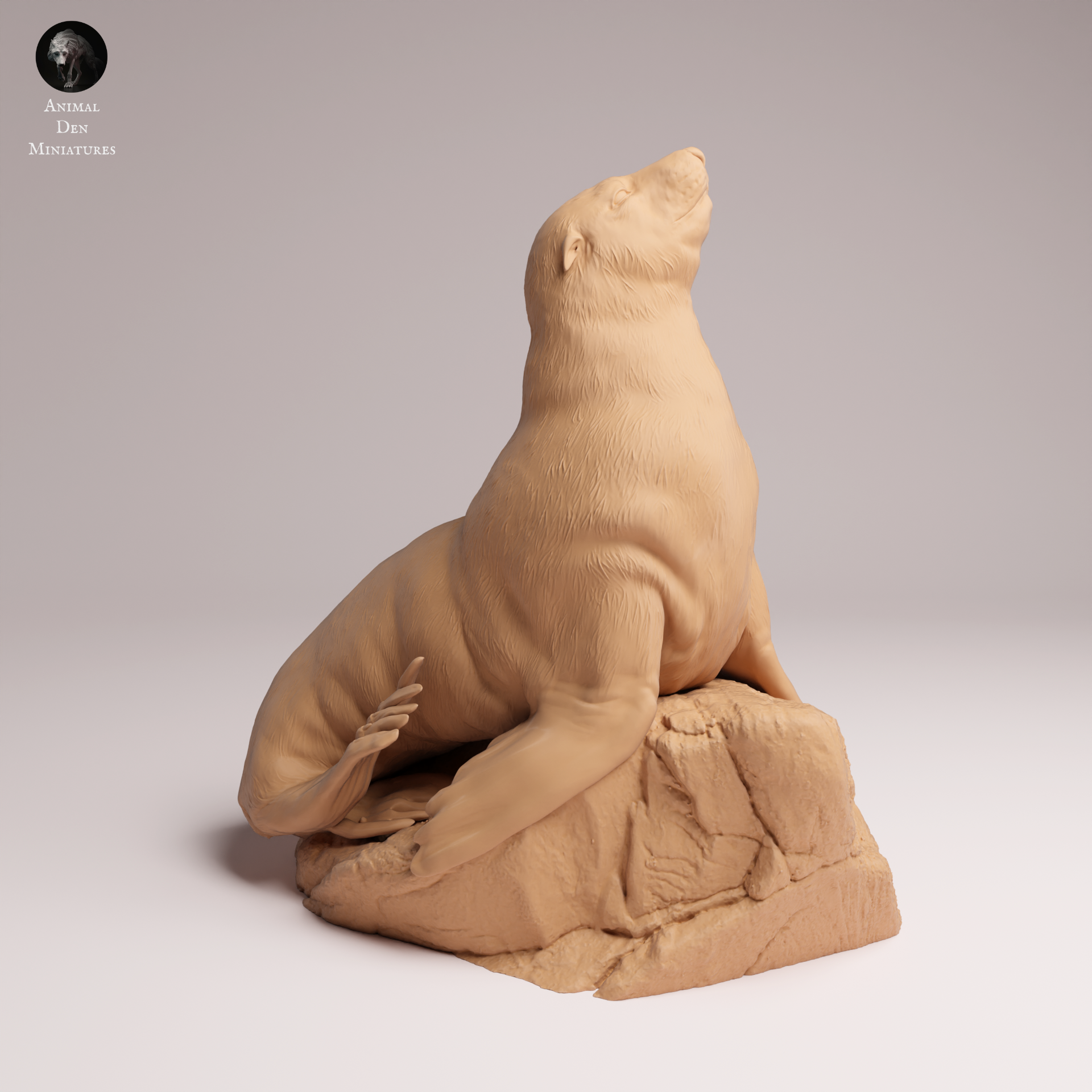 Cape Fur Seal Female on Rock 1:24