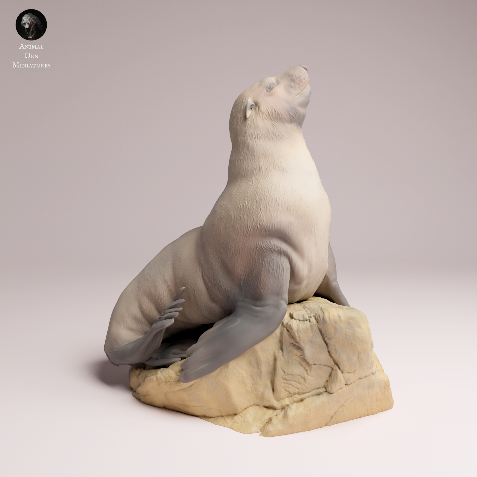 Cape Fur Seal Female on Rock 1:24