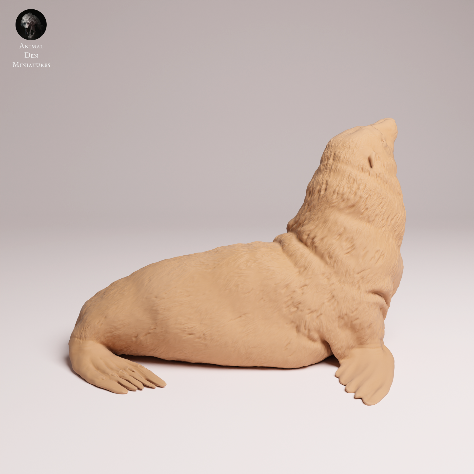 Cape Fur Seal 1:24