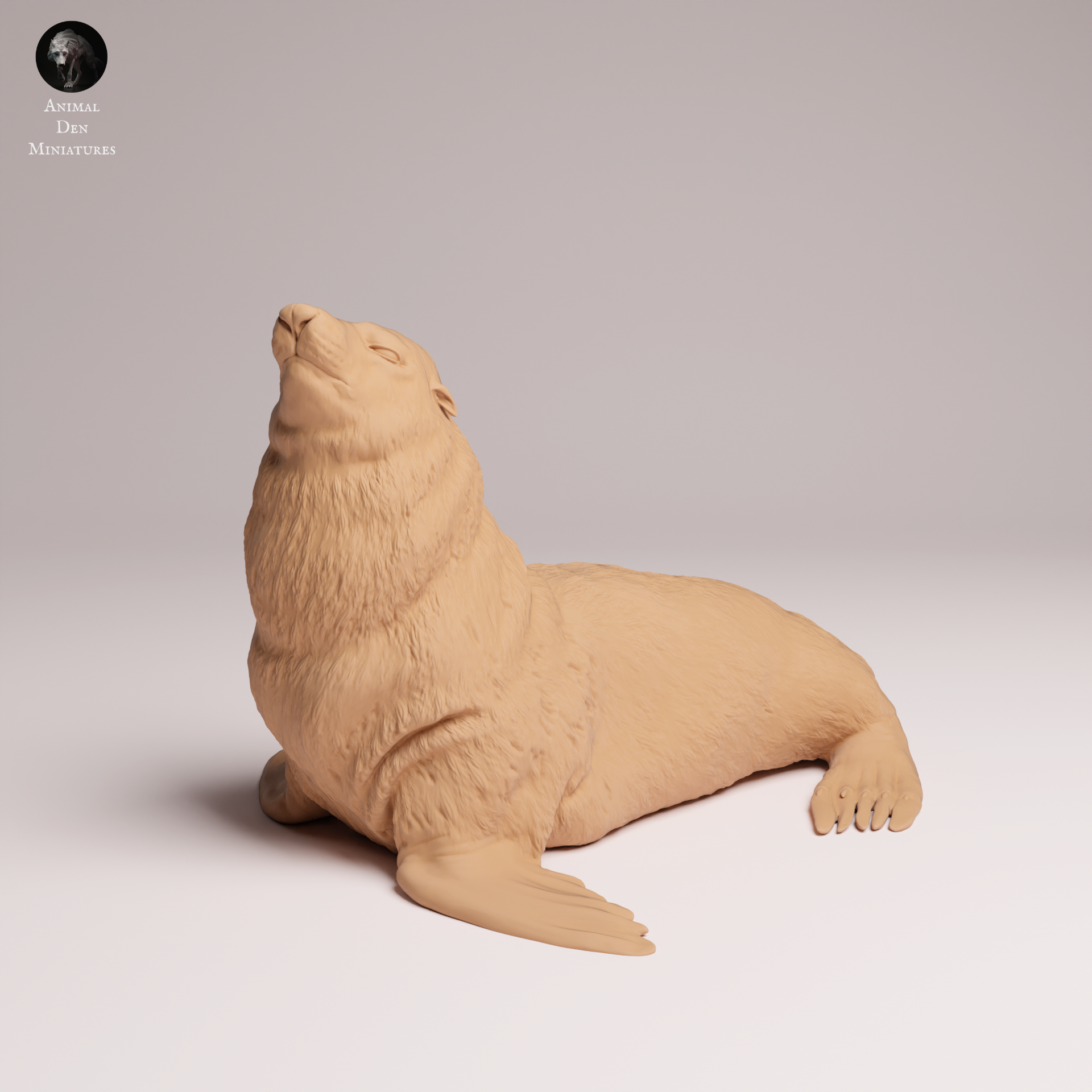 Cape Fur Seal 1:24