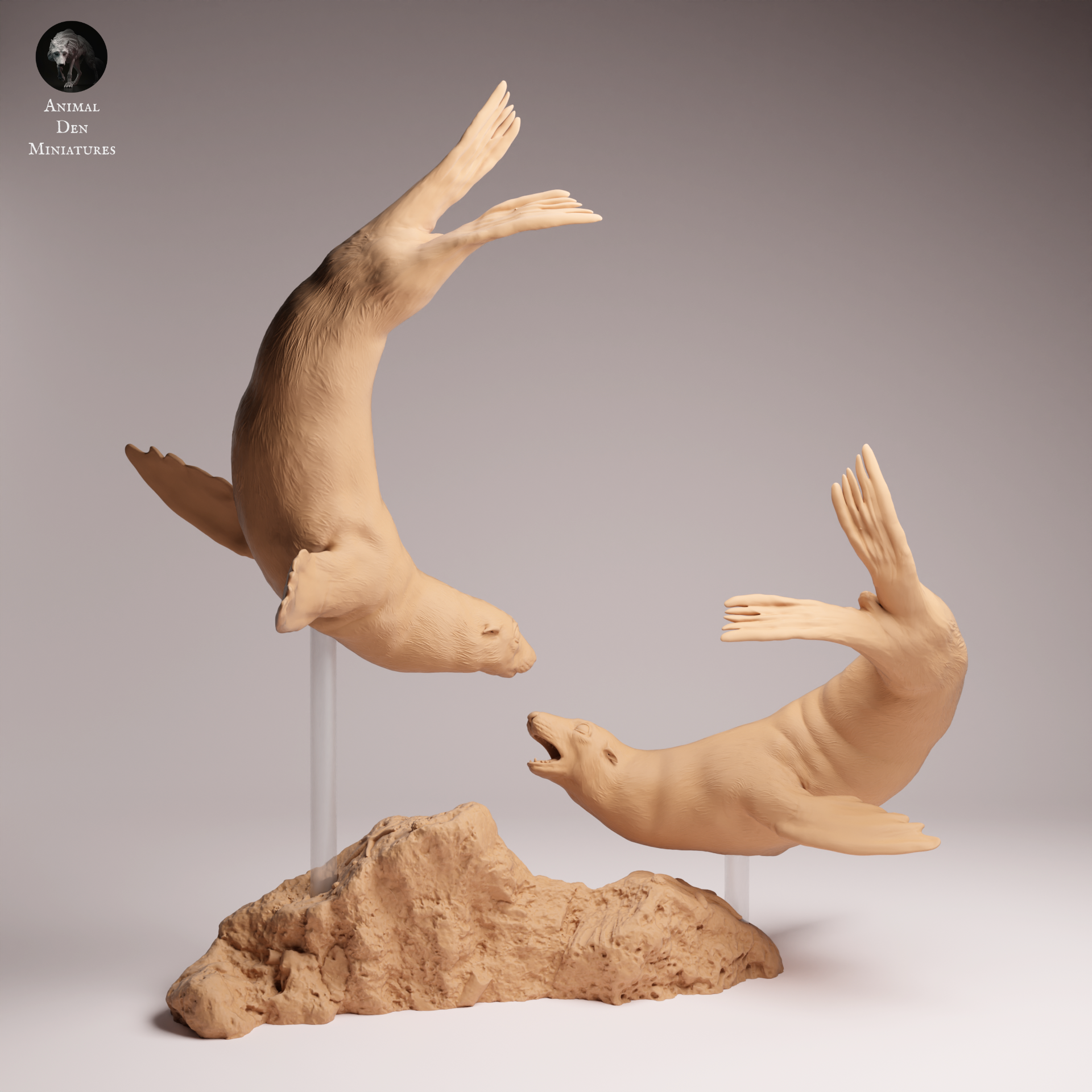 Cape Fur Seal Swim 1:24