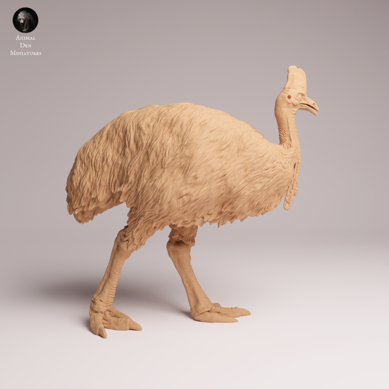 Southern Cassowary 1:24