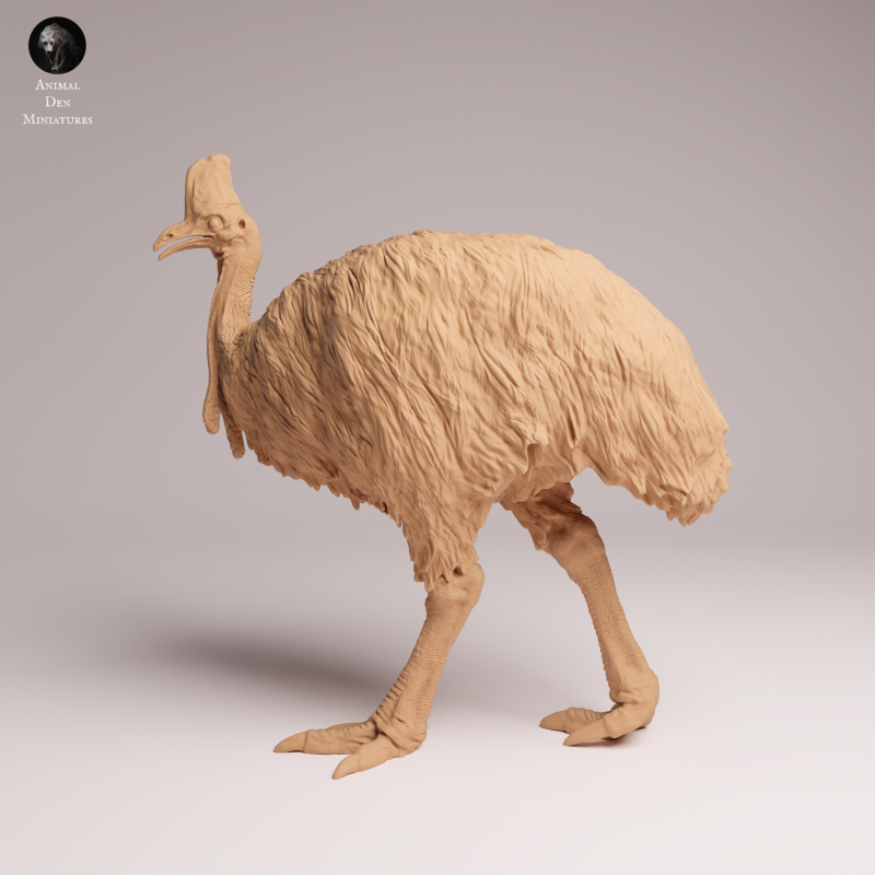 Southern Cassowary 1:24