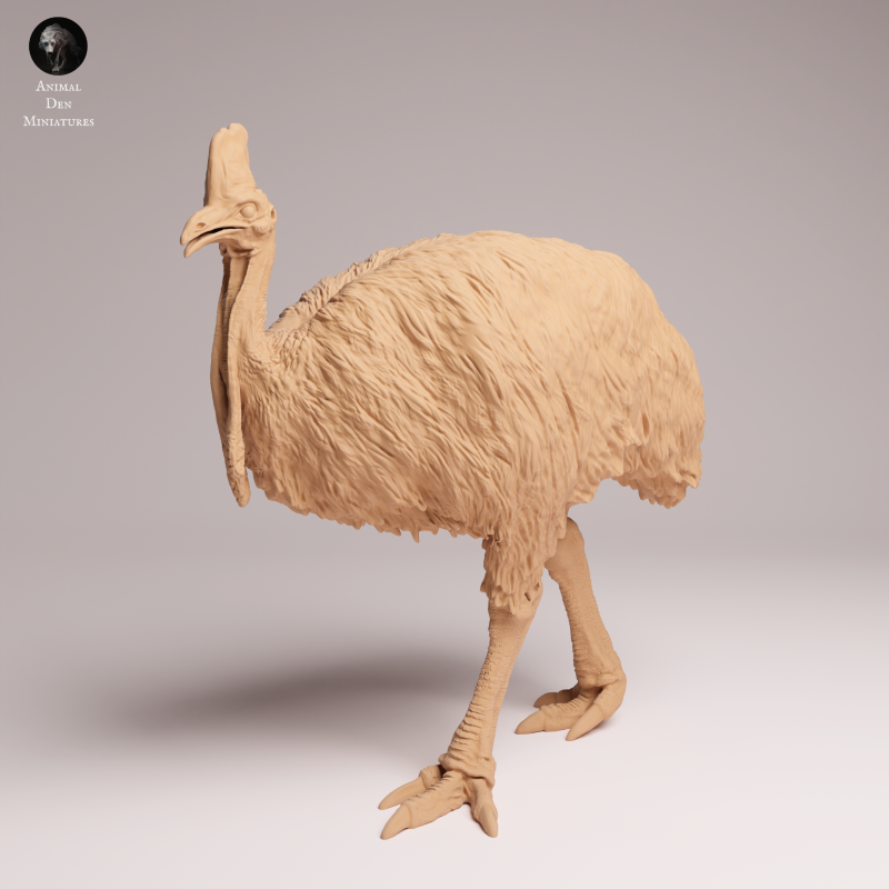 Southern Cassowary 1:24