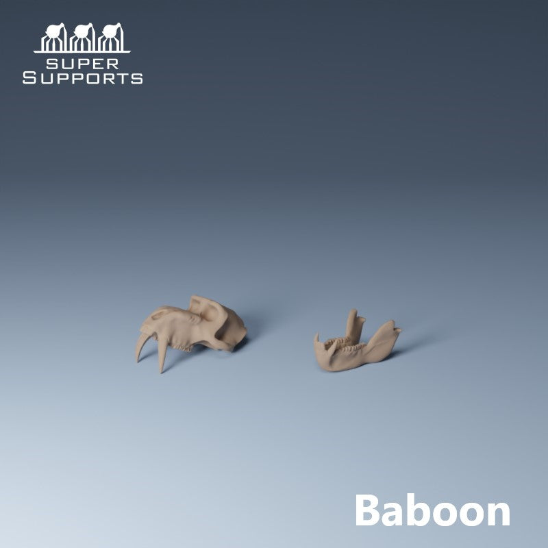 Animal Skulls - Group 1