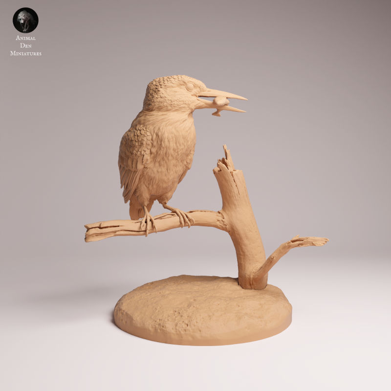 Common Kingfisher 1:2