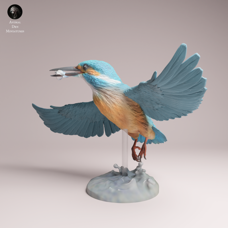 Common Kingfisher Flying 1:2