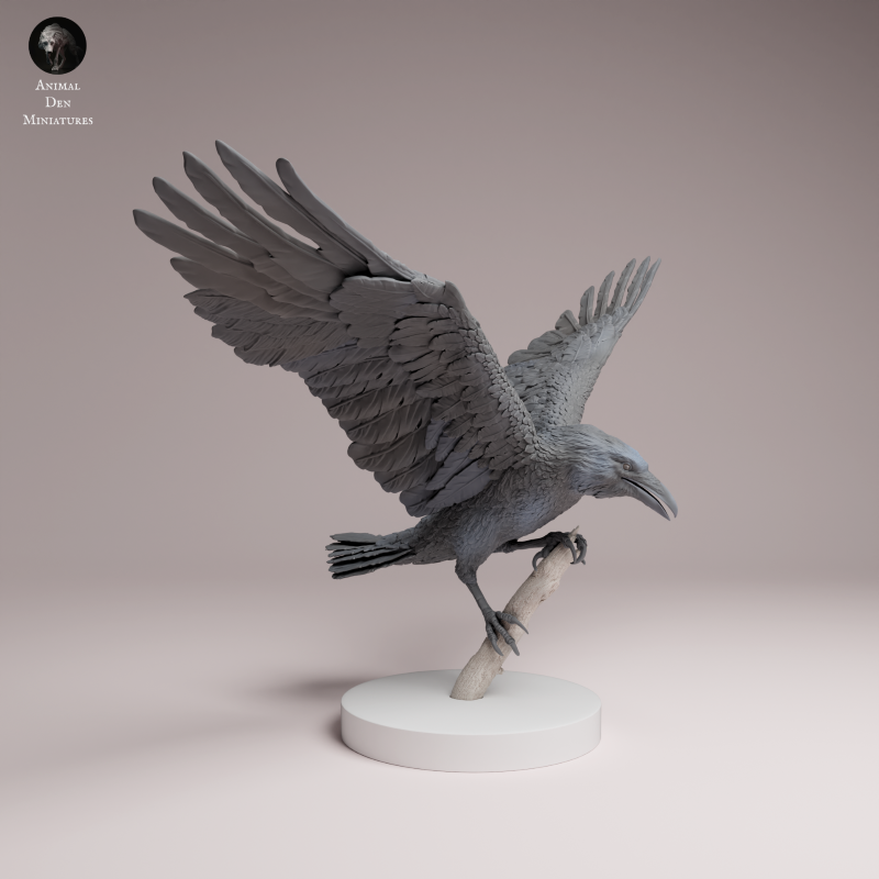 Common Raven Landing 1:6