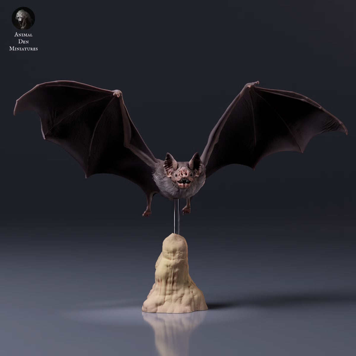 Common Vampire Bat Flying 1:2
