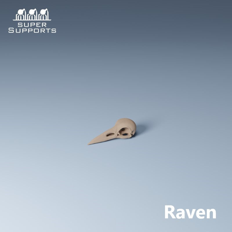 Animal Skulls - Group 5