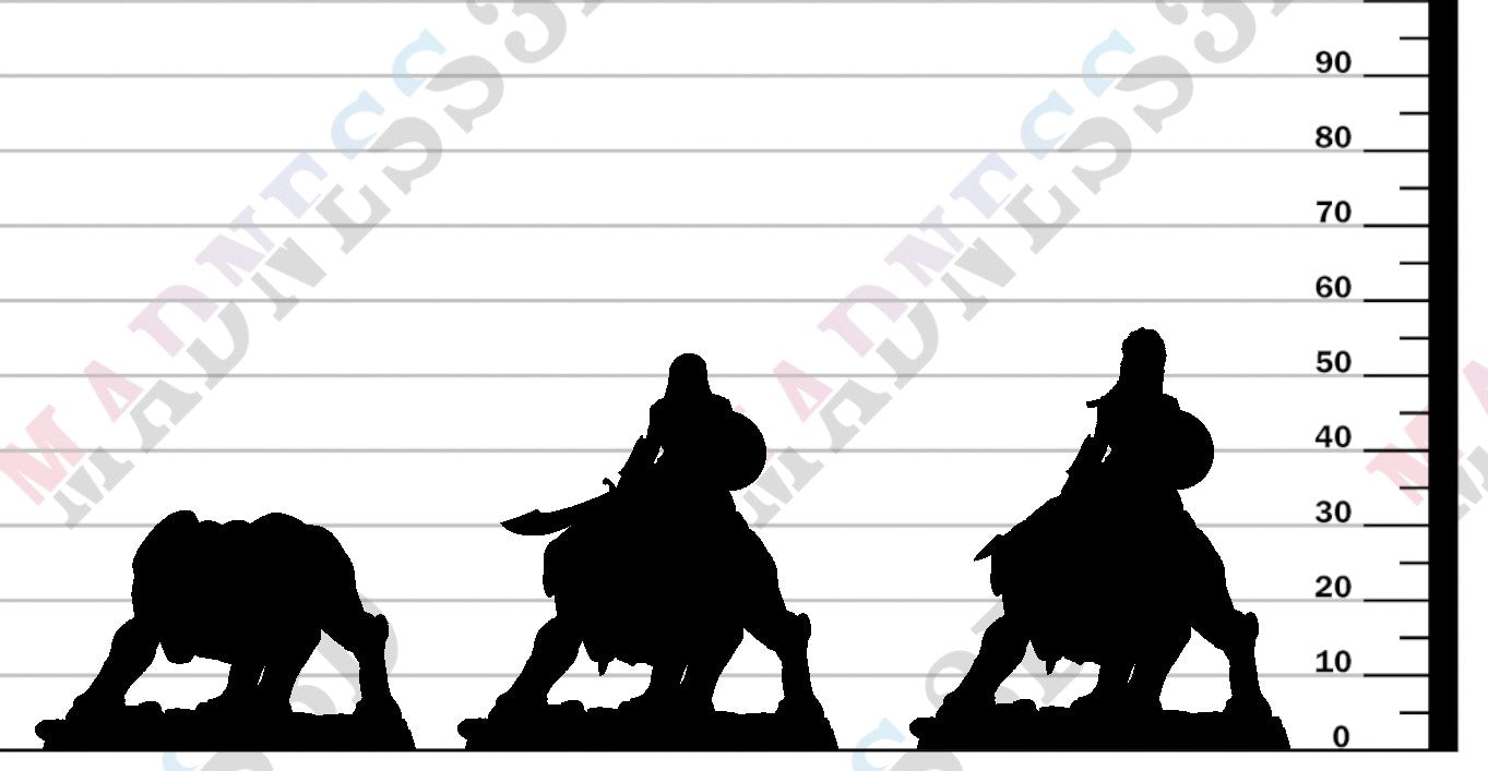 Veiled Sister - Panther Riders - D
