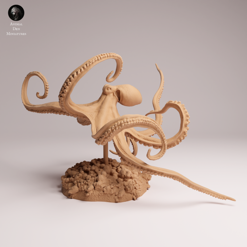 Day Octopus Swim 1-24