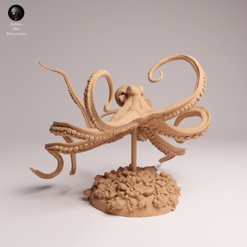 Day Octopus Swim 1-24