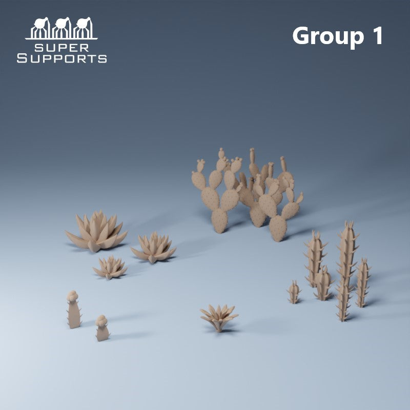 Desert Plants - Group 1
