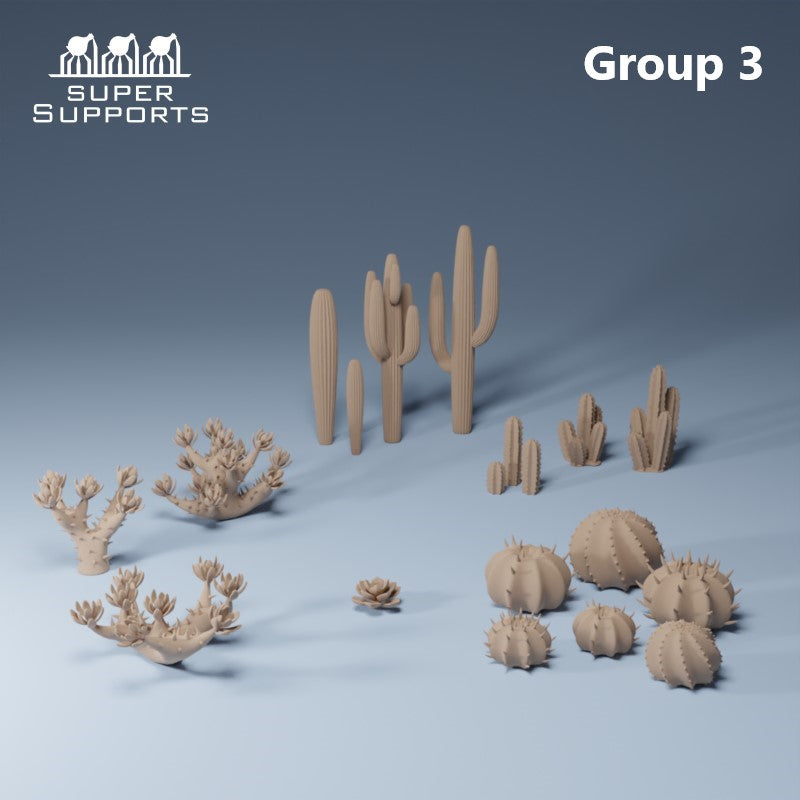 Desert Plants - Group 3