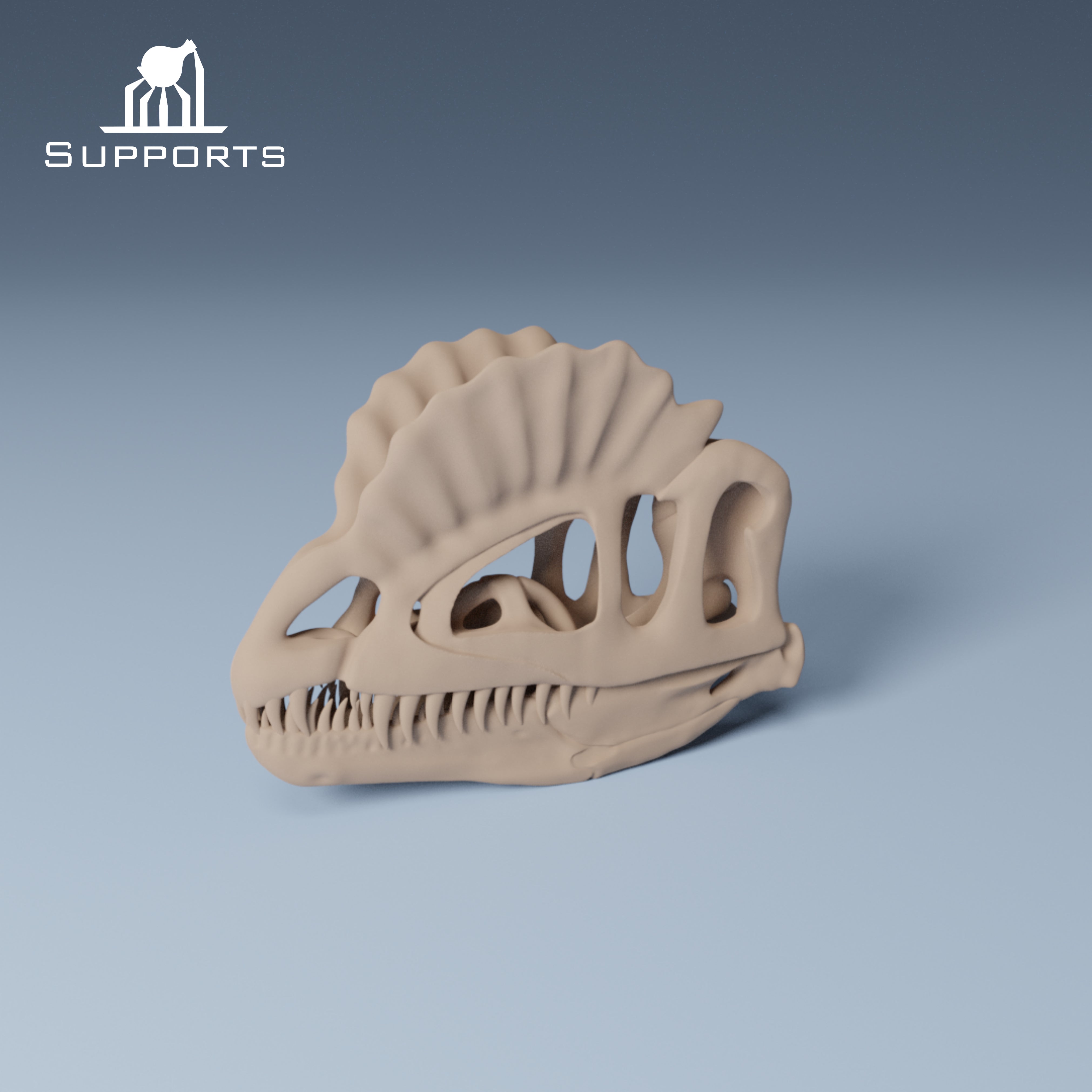 Dinosaur Skulls - Group 2