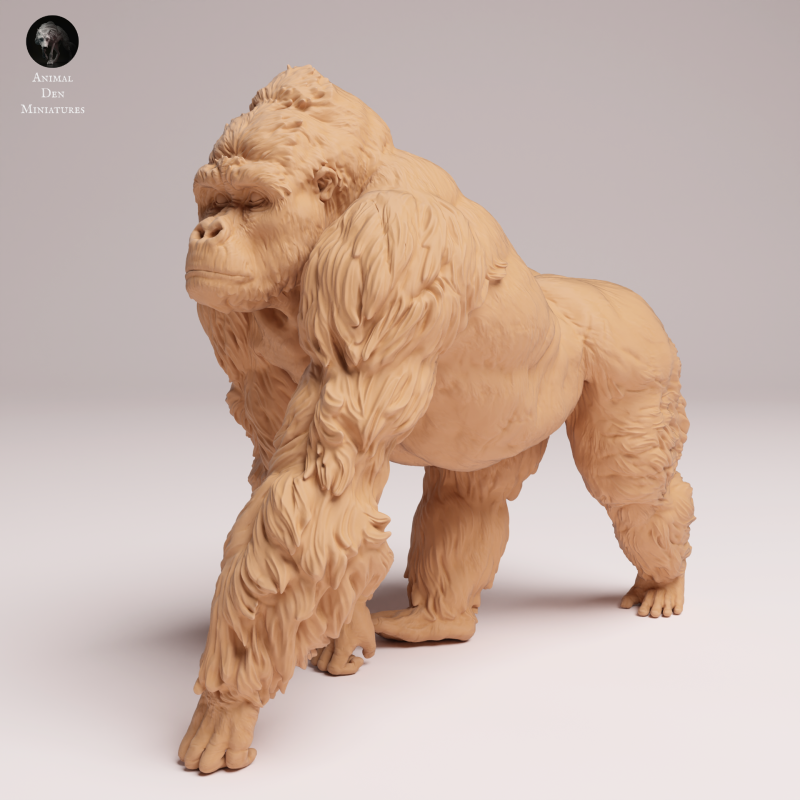 Grauers Gorilla Silverback