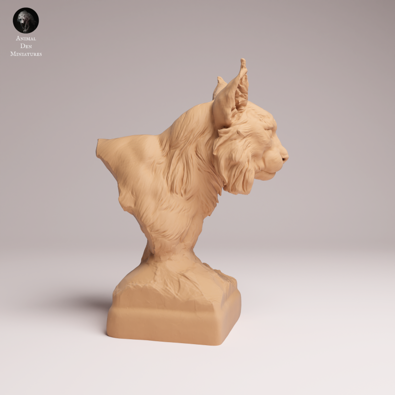 Eurasian Lynx - Bust