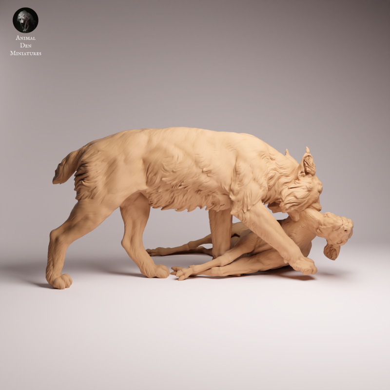 Eurasian Lynx - Prey