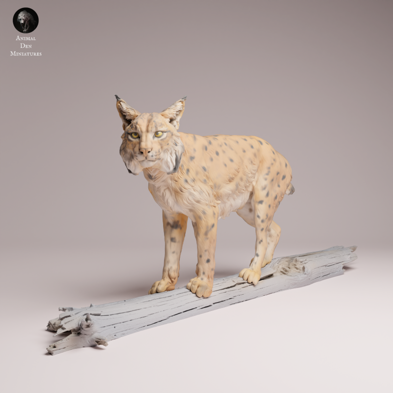 Eurasian Lynx - Tree
