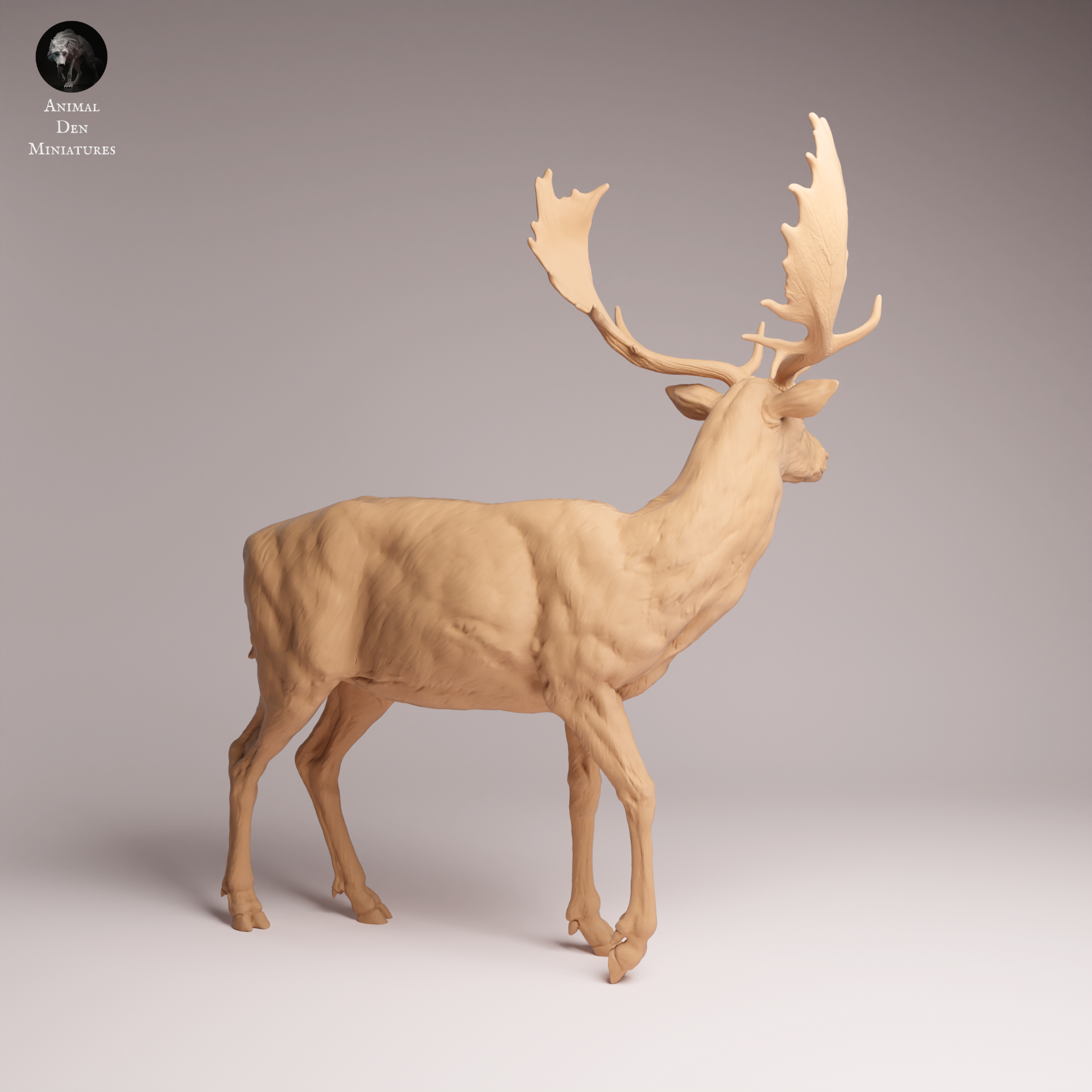 European Fallow Deer 1:24