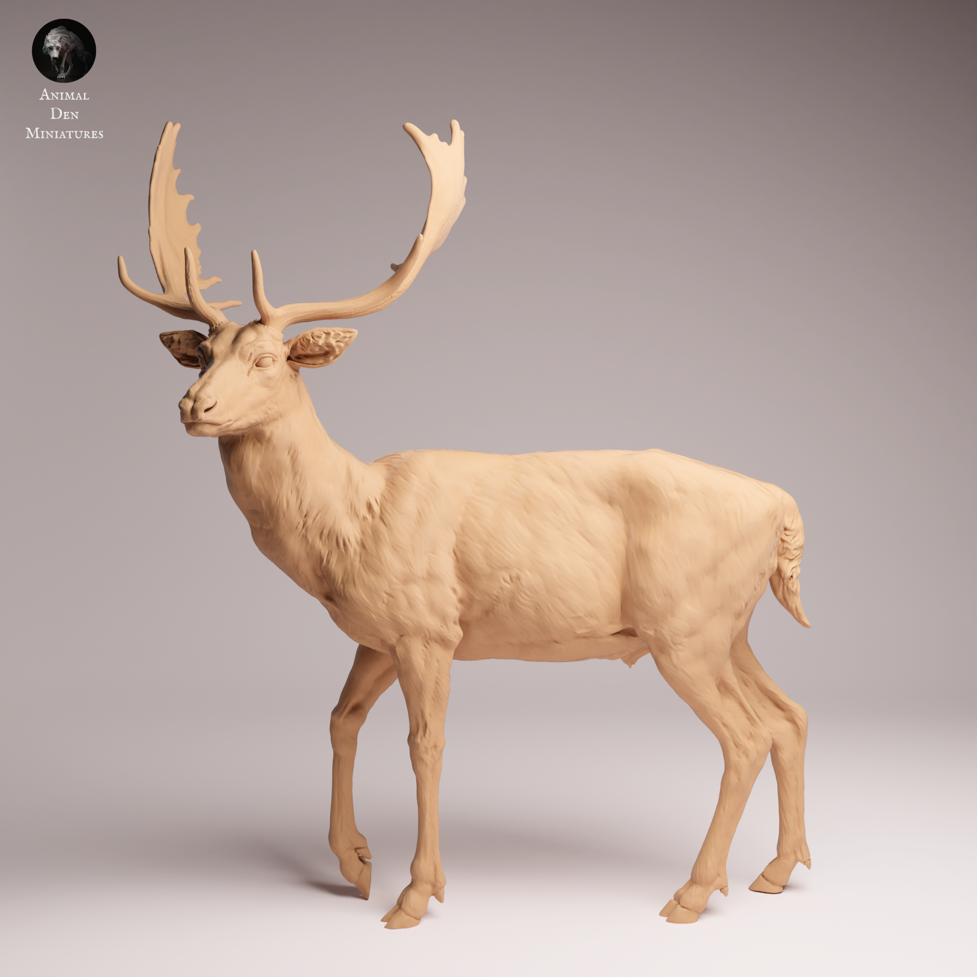 European Fallow Deer 1:24