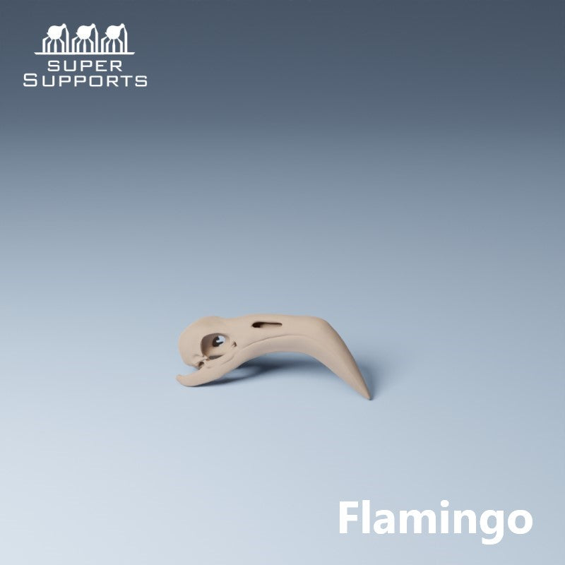 Animal Skulls - Group 4