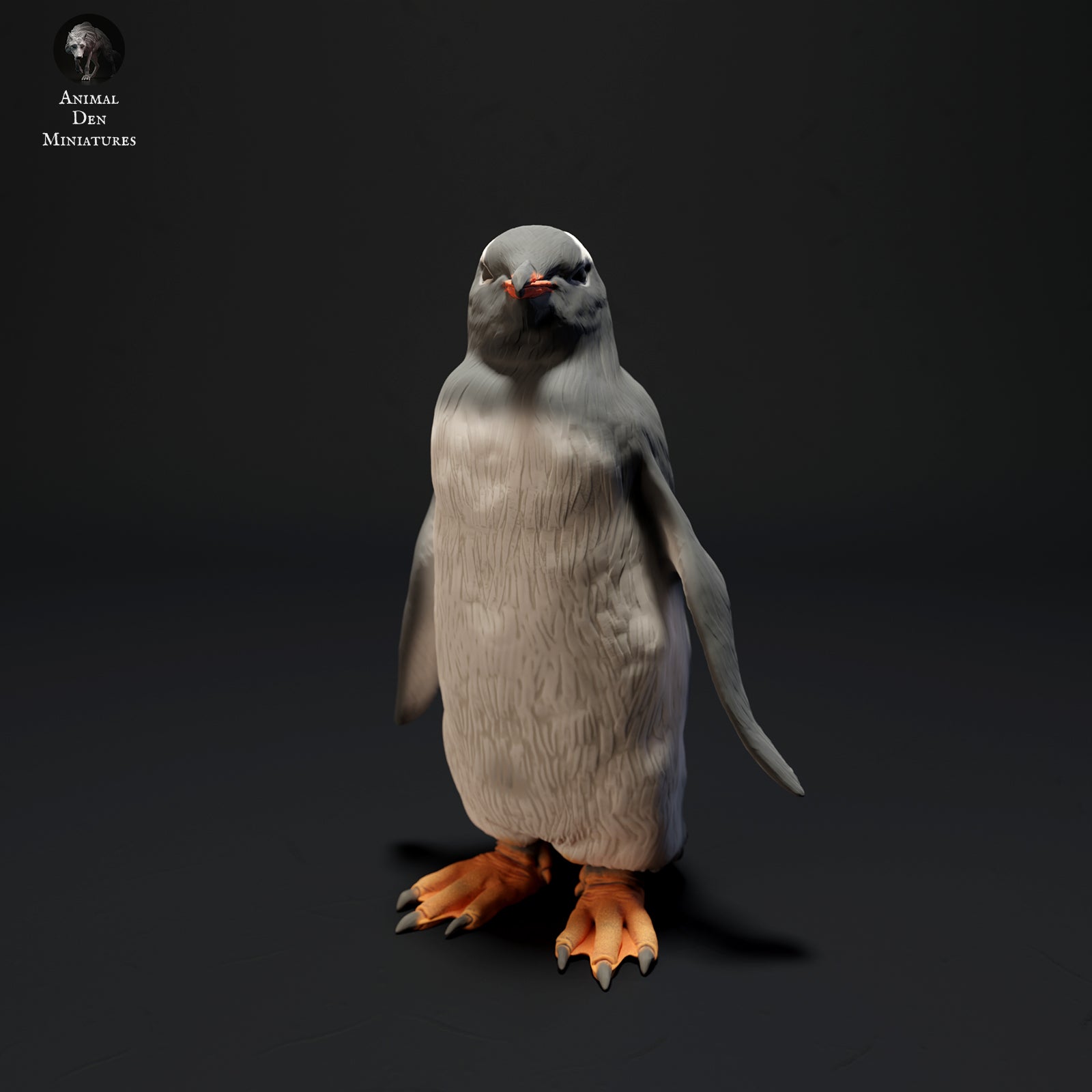 Gentoo Penguin