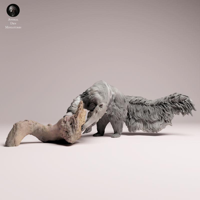 Giant Anteater - Eating - 1-24
