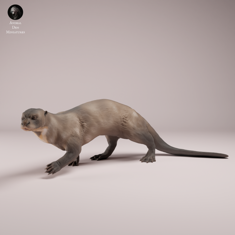Giant Otter
