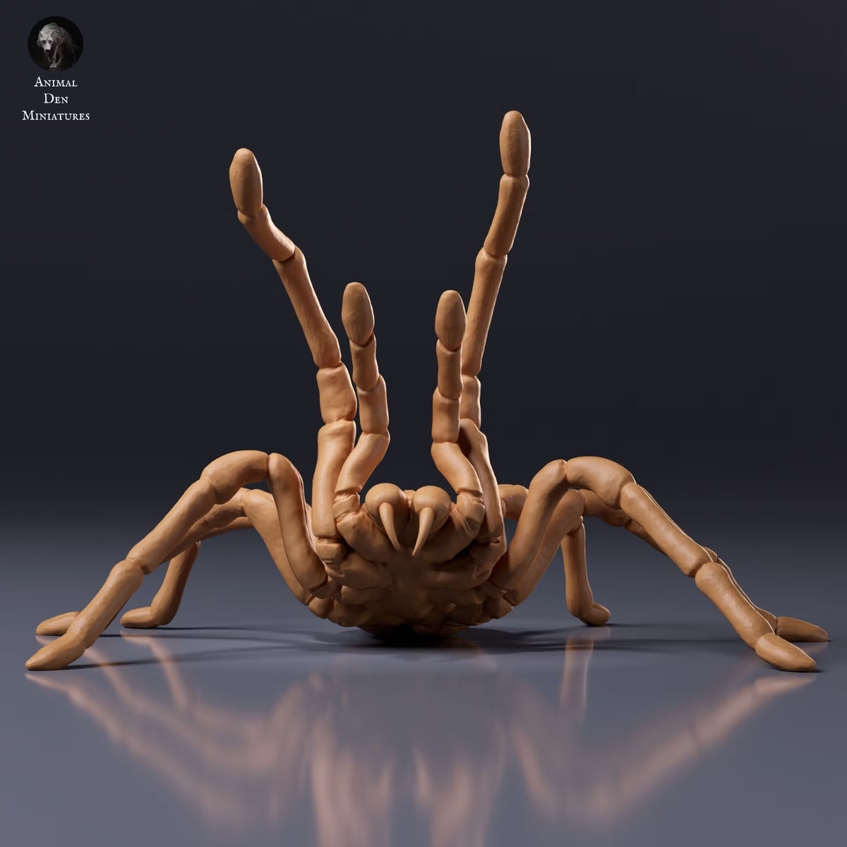 Goliath Birdeater Threatened 1:2