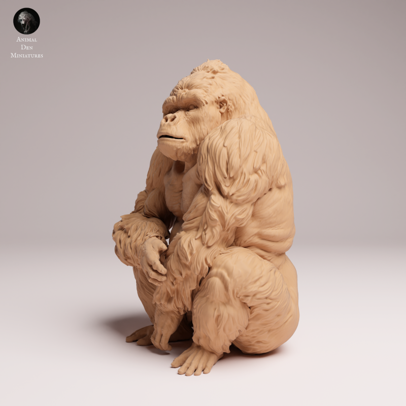 Grauers Gorilla Sitting