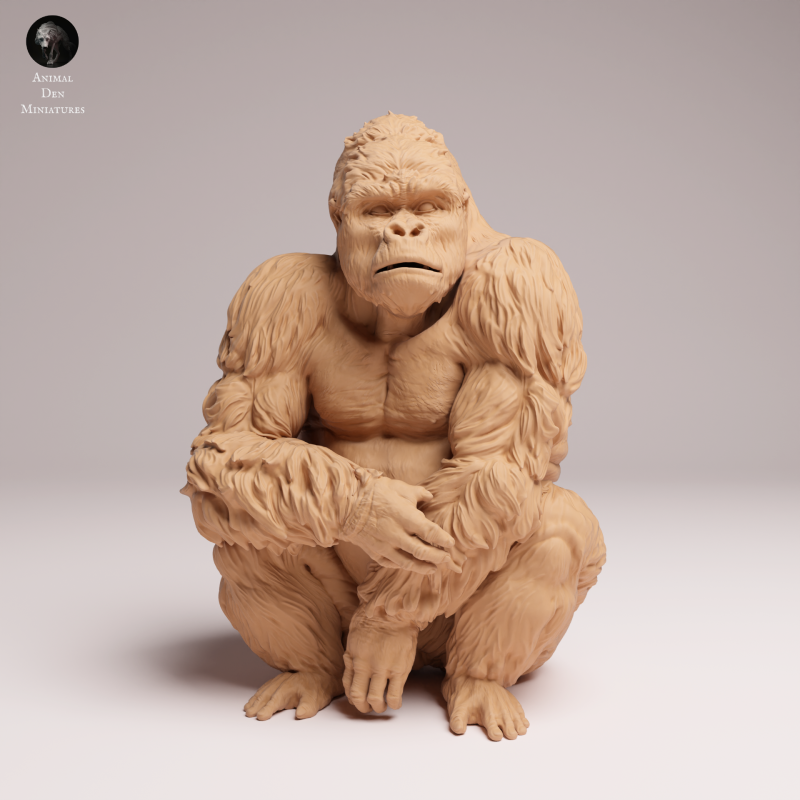 Grauers Gorilla Sitting