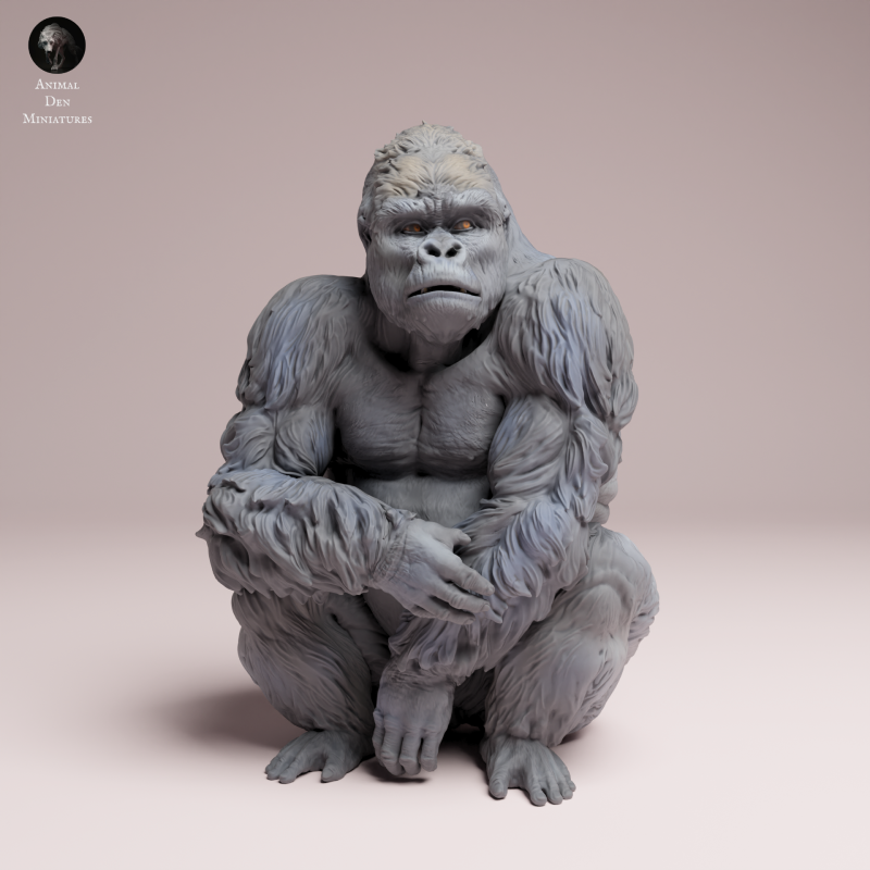 Grauers Gorilla Sitting