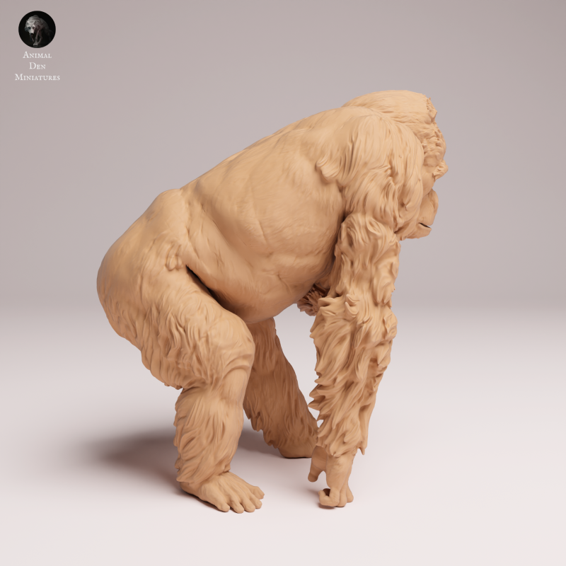 Grauers Gorilla with Baby