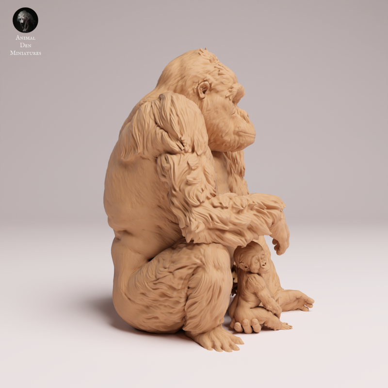 Grauers Gorilla with Baby Sitting