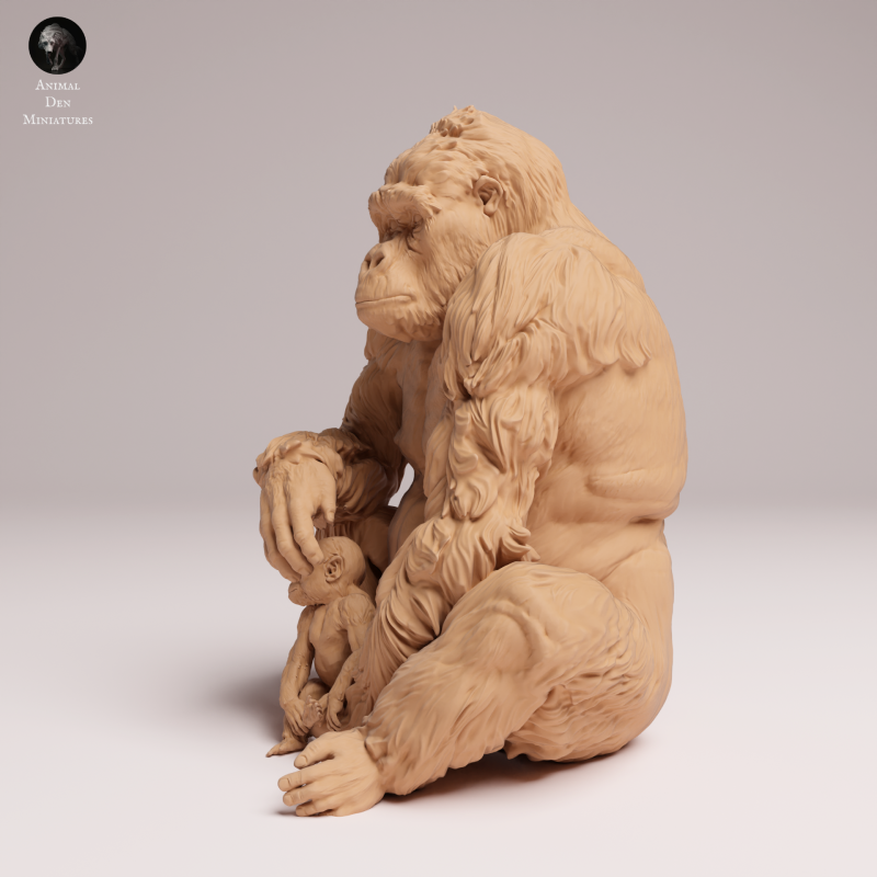 Grauers Gorilla with Baby Sitting