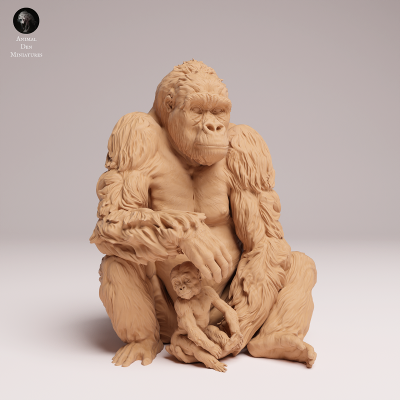 Grauers Gorilla with Baby Sitting