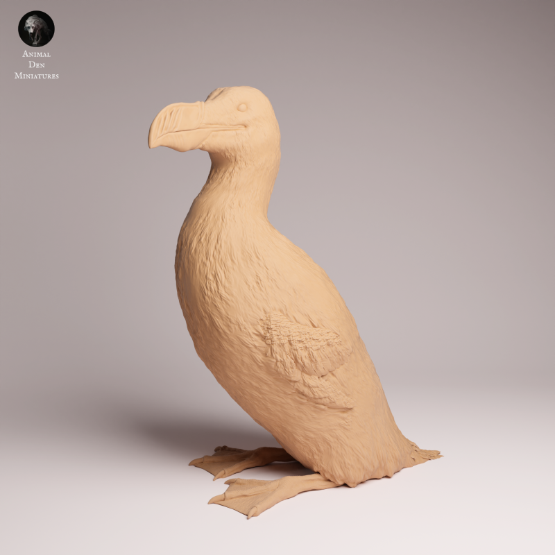 Great Auk 1:16