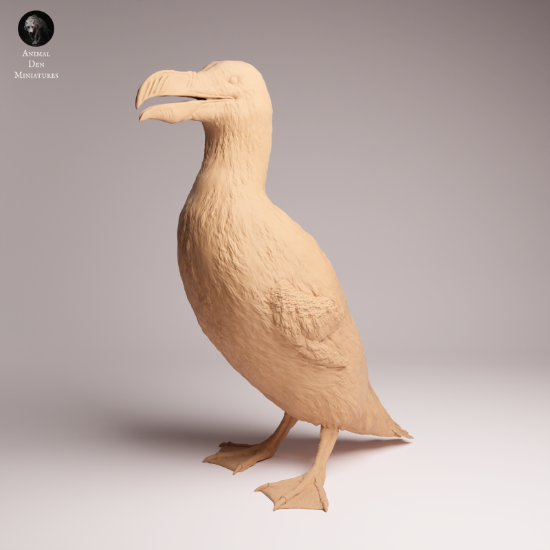 Great Auk - Stand 1:16