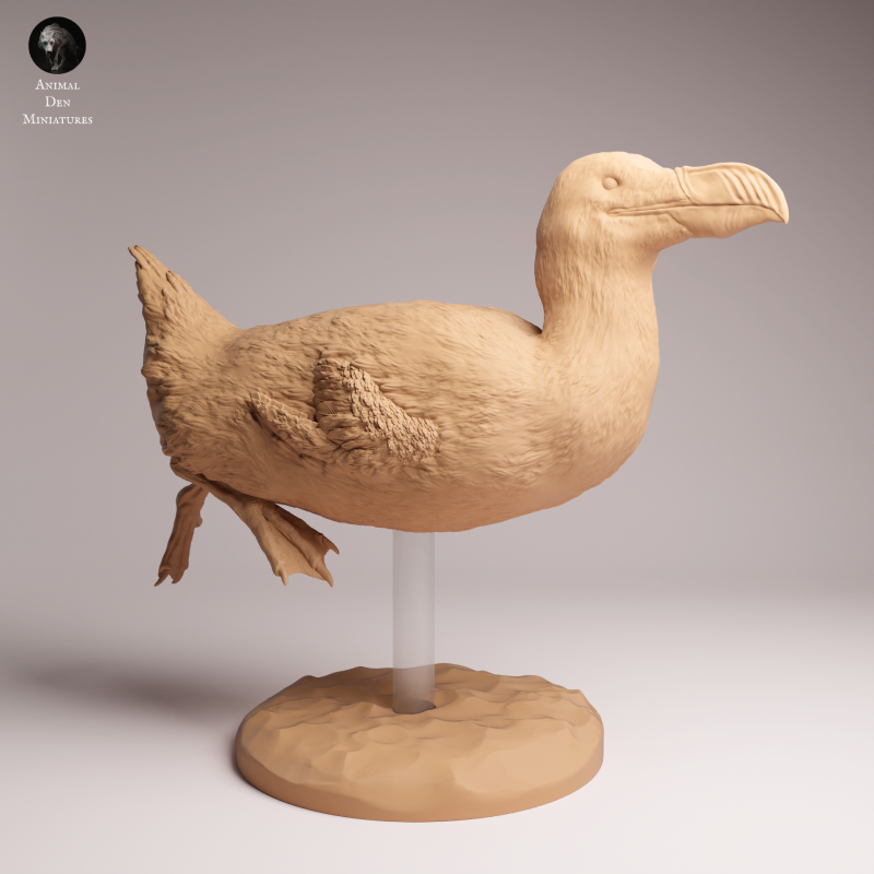 Great Auk - Swim 1:16