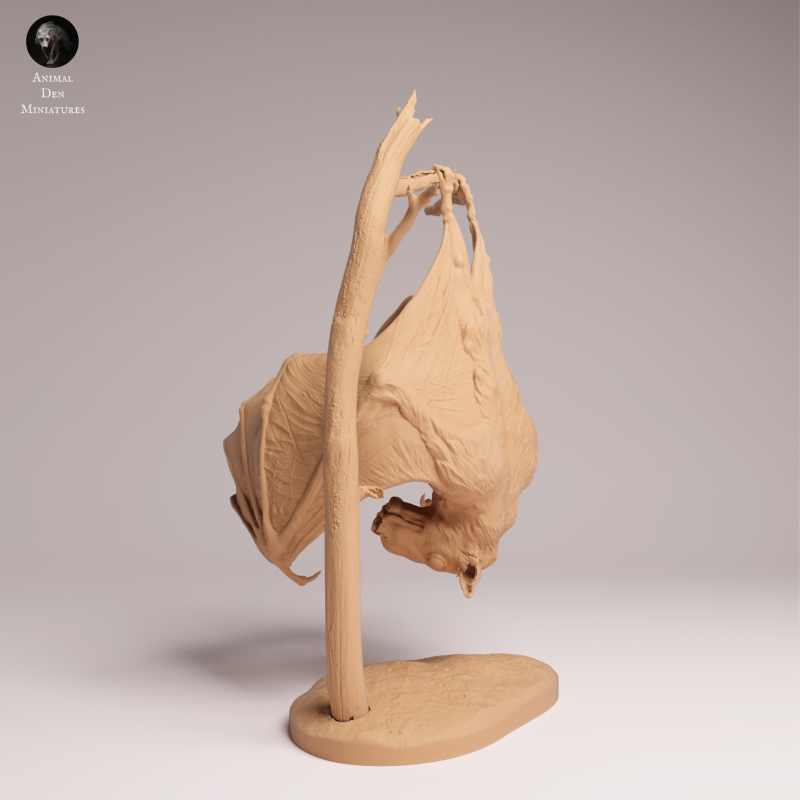 Hammer-headed Bat 1:4