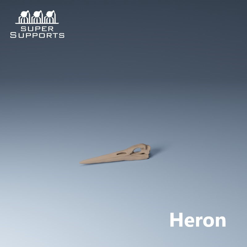 Animal Skulls - Group 1