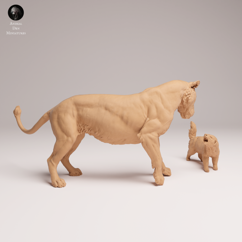 Honey Badger vs Lioness 1:24