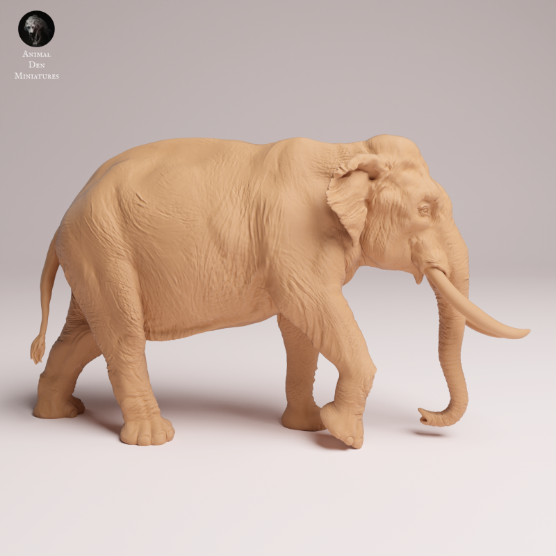 Indian Elephant Bull 1:32