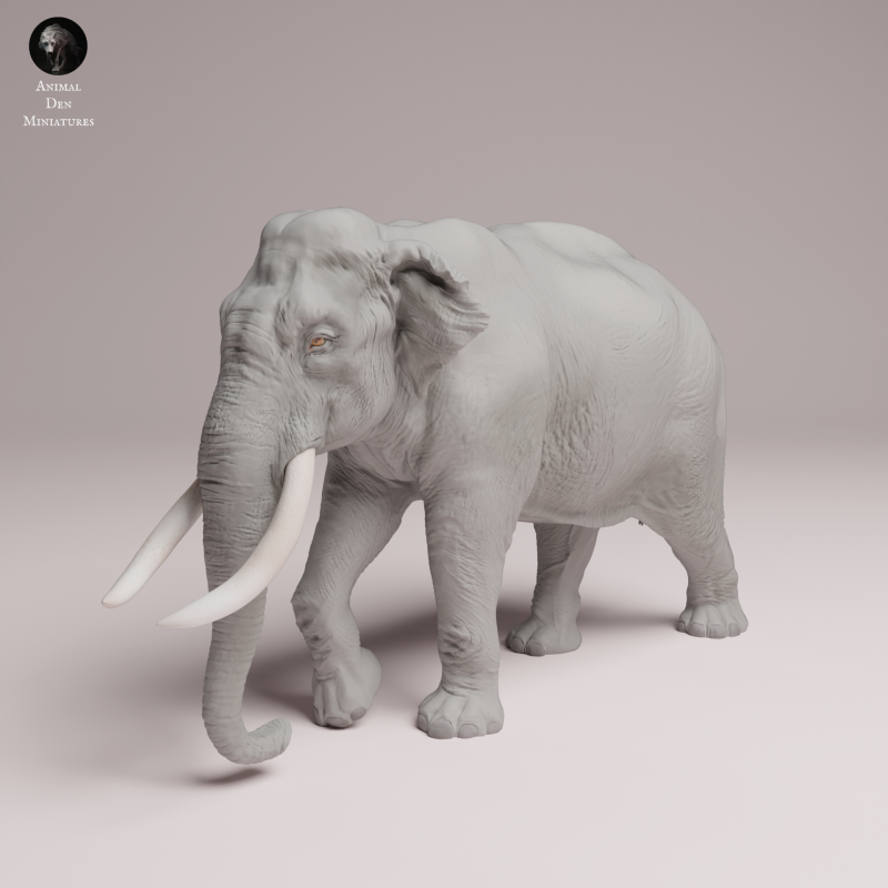 Indian Elephant Bull 1:32
