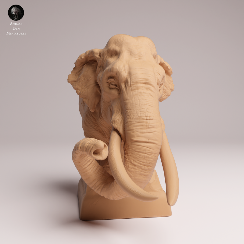 Indian Elephant 1:32 - Bust