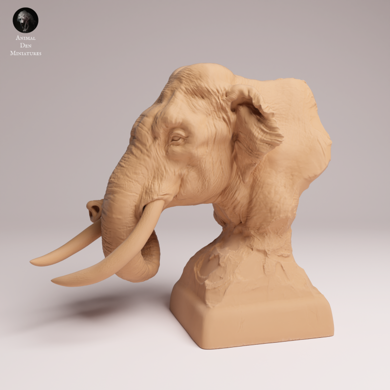Indian Elephant 1:32 - Bust